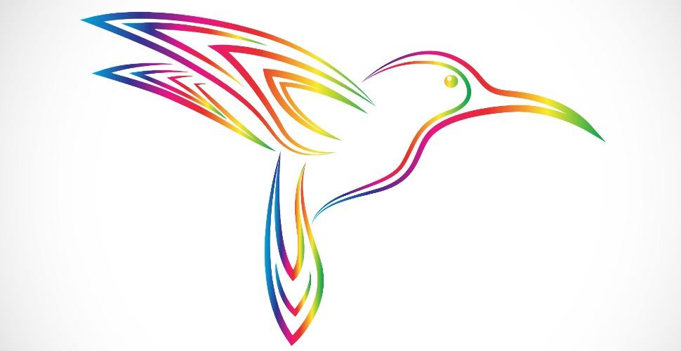 hummingbird