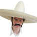 Man wearing a large straw sombrero, used as a lighthearted visual for the Quick SEO Wins expert roundup