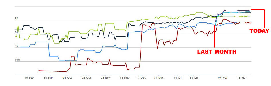 SEO Rankings Rank tracking chart showing keyword positions improving from around position 75 to top 25 over six months