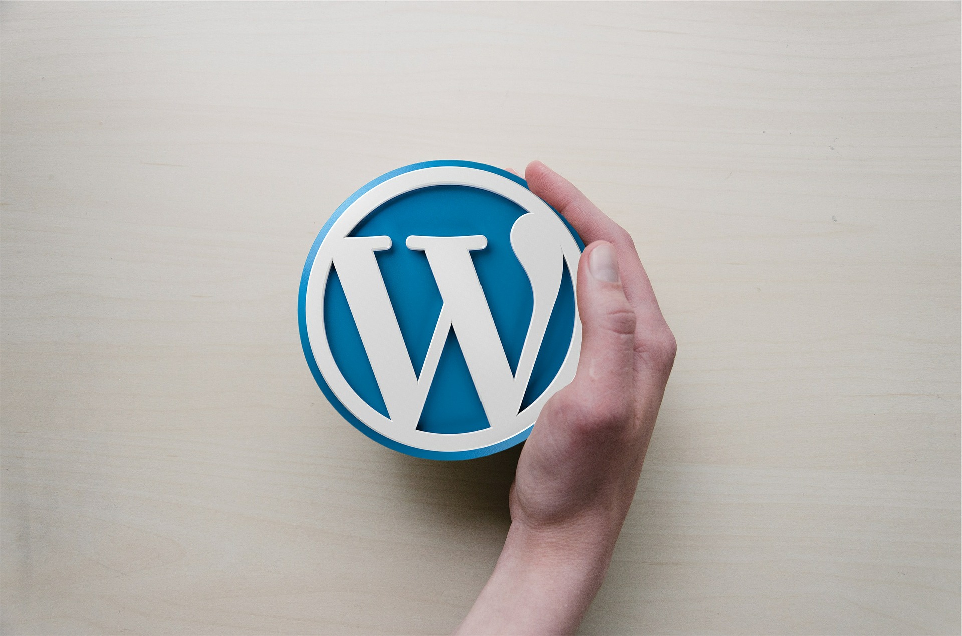 Hand holding a 3D WordPress logo disc against a light wooden surface